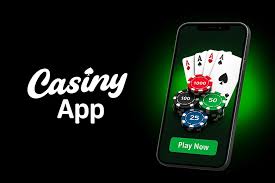 Discover Thrills and Excitement with Casiny1 Discover Thrills and Excitement with Casiny1